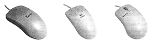 Манипуляторы "мышь":— двухкнопочная 
  Genius Easy Pro с USB-интерфейсом; — трехкнопочная 
  Logitech Pilot First;  — Microsoft 
  Inteljimouse мышь PS/2