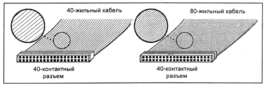 40- и 80-контактные шлейфы для винчестеров 40- и 80-контактные шлейфы для винчестеров